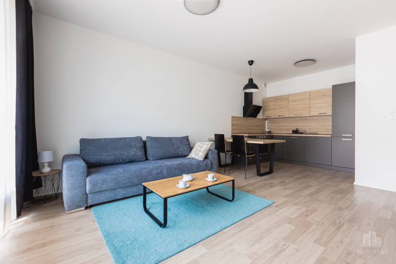 Rent One bedroom apartment, One bedroom apartment, Na križovatkách, Br