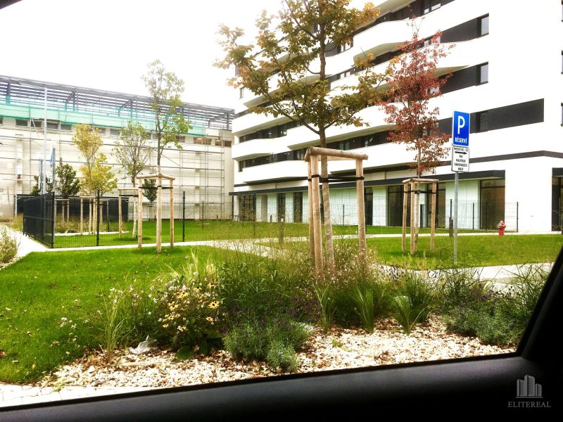 Rent One bedroom apartment, One bedroom apartment, Pri Smaltovni, Brat